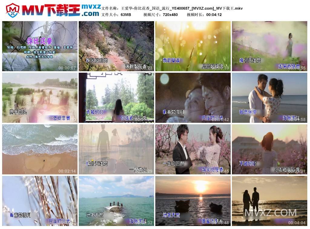 王爱华-你比花香_国语_流行_YE400657